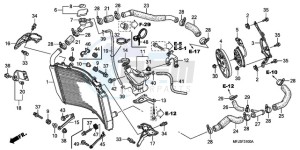 CBR600RAA Korea - (KO / ABS) drawing RADIATOR