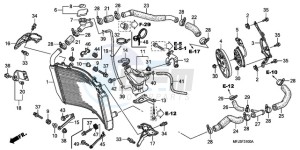 CBR600RRA BR - (BR) drawing RADIATOR