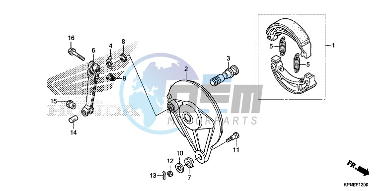 REAR BRAKE PANEL