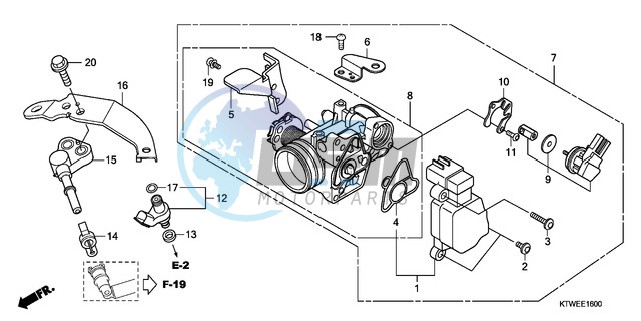 THROTTLE BODY