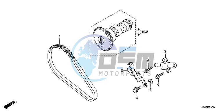 CAM CHAIN/ TENSIONER