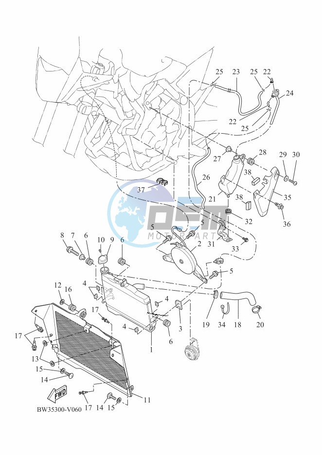 RADIATOR & HOSE