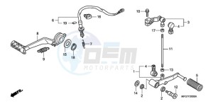 CB600FA9 France - (F / ABS CMF) drawing PEDAL