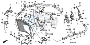 CBR600RR9 France - (F / CMF SPC) drawing RADIATOR