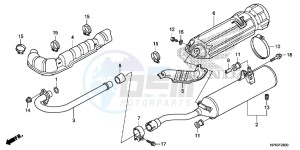 TRX420FMD TRX420 Europe Direct - (ED) drawing EXHAUST MUFFLER