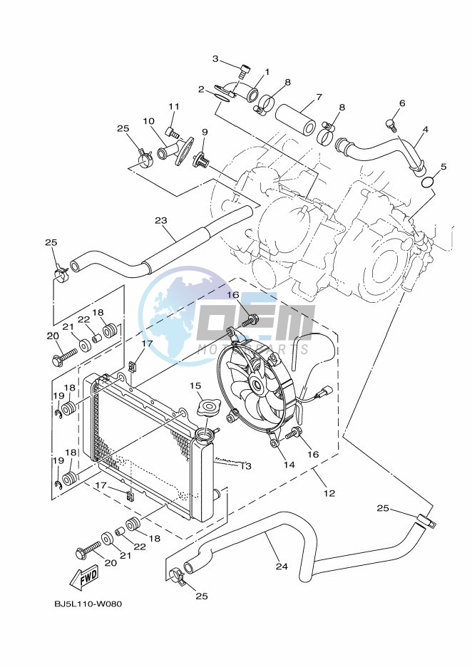 RADIATOR & HOSE