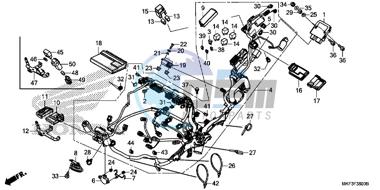 WIRE HARNESS