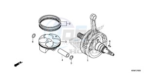 CRF250RE CRF250R Europe Direct - (ED) drawing CRANKSHAFT/PISTON