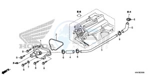 TRX500FM2F TRX500FM U drawing WATER PUMP COVER