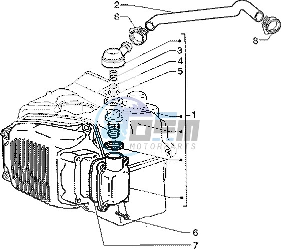 Oil drain valve