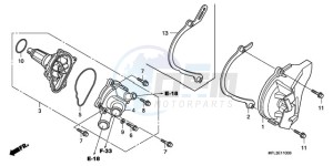 CBR1000RRA Europe Direct - (ED) drawing WATER PUMP