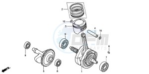 TRX300EX SPORTRAX drawing CRANKSHAFT