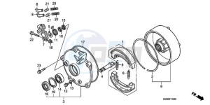 TRX250TEA Australia - (U / EC) drawing REAR BRAKE DRUM