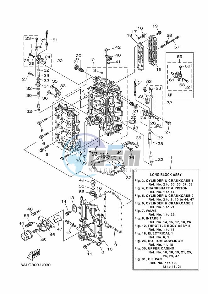 CYLINDER--CRANKCASE-1