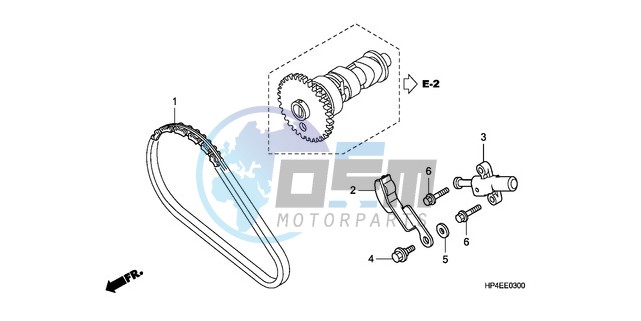 CAM CHAIN/TENSIONER