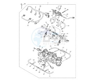 FZ8-NA 800 drawing THROTTLE BODY