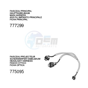 FIGHT 3 N 4T drawing PLUG WIRING HARNESS