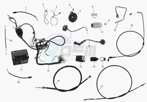 TOREO 50 125 drawing ELECTRICS