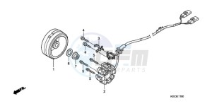 CRF150R9 Europe Direct - (ED) drawing GENERATOR