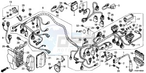 TRX500FMD TRX500FM Europe Direct - (ED) drawing WIRE HARNESS