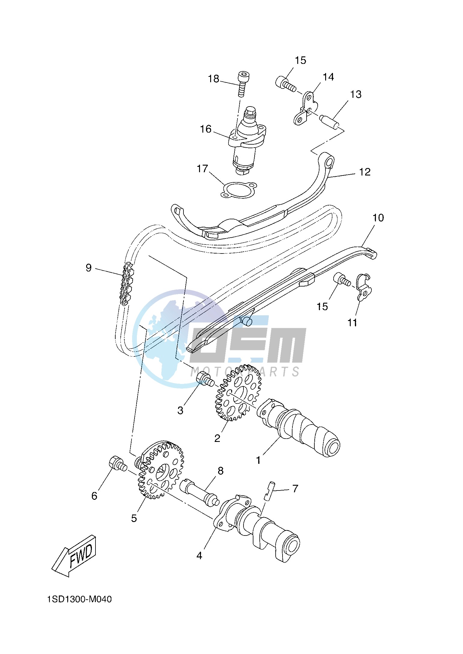 CAMSHAFT & CHAIN