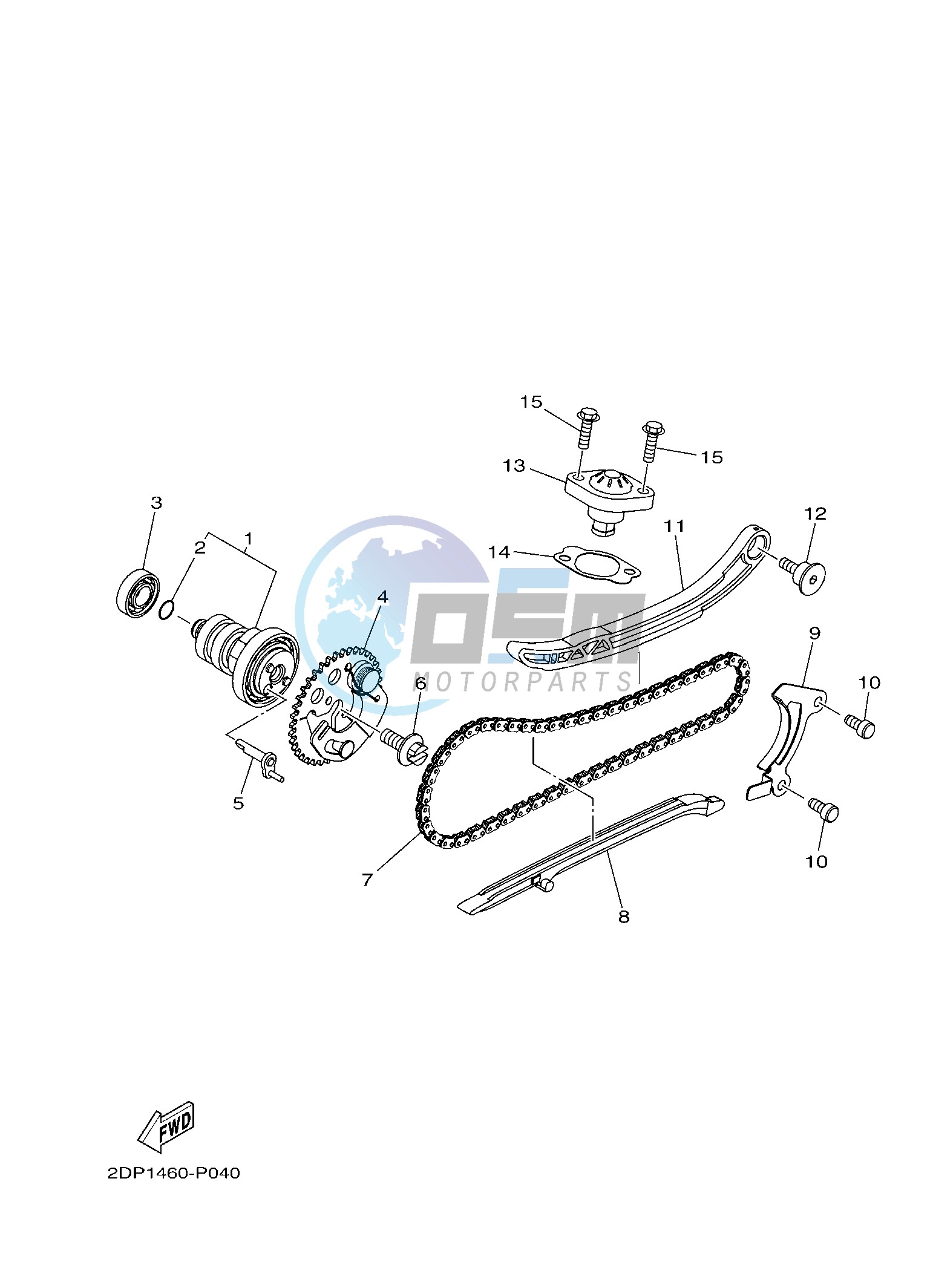 CAMSHAFT & CHAIN