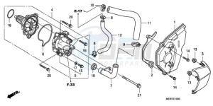 CBF600N9 Europe Direct - (ED) drawing WATER PUMP