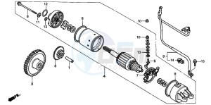 FES250 FORESIGHT drawing STARTING MOTOR