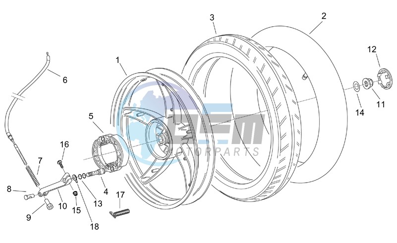 Rear wheel - drum brake