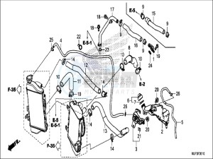 CRF1000DH 2ED - (2ED) drawing RADIATOR HOSE