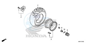 TRX420FM2H Europe Direct - (ED) drawing REAR WHEEL