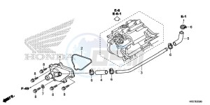 TRX420FA2G TRX420F Europe Direct - (ED) drawing WATER PUMP COVER