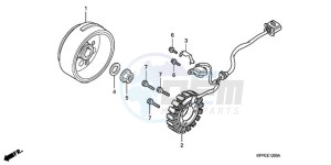 CBR125RWA Europe Direct - (ED / BLA) drawing GENERATOR