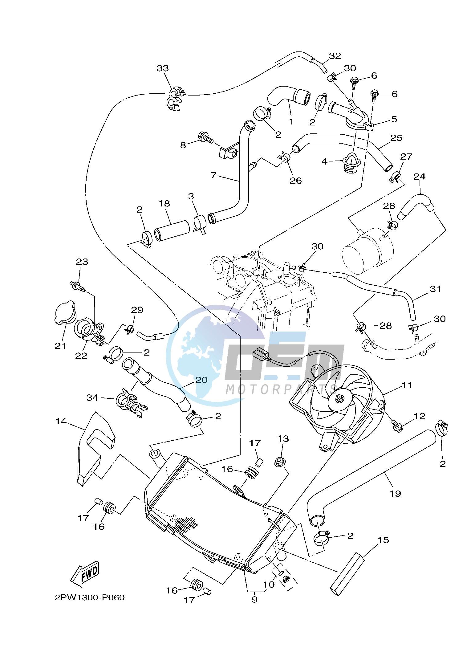 RADIATOR & HOSE