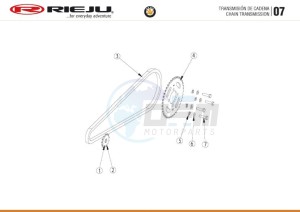 HOBBY-BYE-BIKE-EURO4-BLACK drawing CHAIN TRANSMISSION