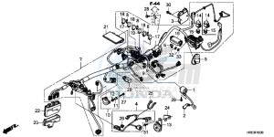 TRX500FM6H Europe Direct - (ED) drawing WIRE HARNESS