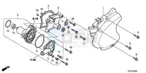 VTR2509 Europe Direct - (ED / LL) drawing LEFT CRANKCASE COVER/WATE R PUMP