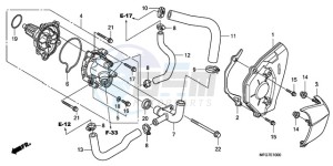 CB600F9 Europe Direct - (ED / 25K) drawing WATER PUMP