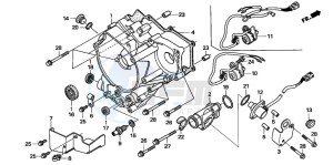 TRX250TM FOURTRAX drawing REAR CRANKCASE COVER