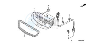 TRX420TMA Europe Direct - (ED / 2WD) drawing TAILLIGHT