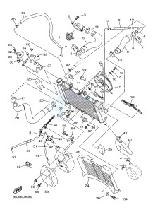 XJ6S 600 DIVERSION (S-TYPE) (36CA) drawing RADIATOR & HOSE