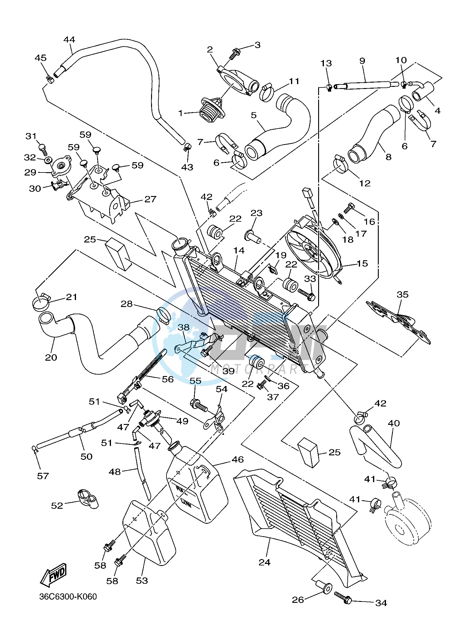 RADIATOR & HOSE