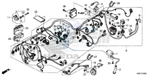 TRX420FM2H Europe Direct - (ED) drawing WIRE HARNESS