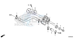 CBR300RF CBR300R Europe Direct - (ED) drawing AIR INJECTION SOLENOID VALVE