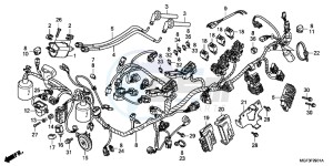 FJS600AB SilverWing ED drawing WIRE HARNESS (FJS600A9 2KO/ FJS600AB/ DB)