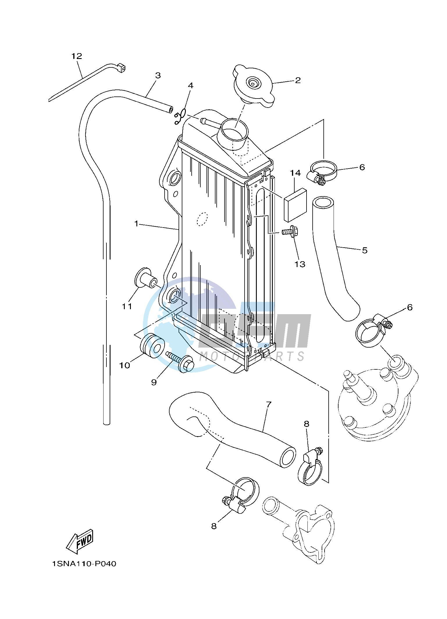 RADIATOR & HOSE