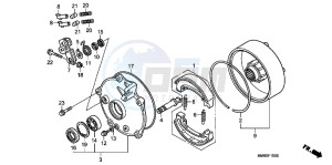 TRX250TEC drawing REAR BRAKE DRUM