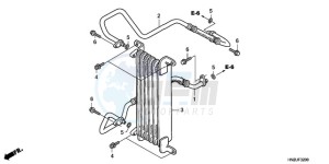 TRX500FAA Europe Direct - (ED) drawing OIL COOLER