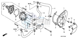 CB600FA9 France - (F / ABS CMF) drawing WATER PUMP