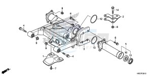 TRX420FM1G TRX420 Europe Direct - (ED) drawing SWINGARM